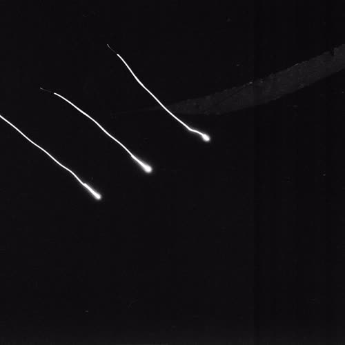 <body>
<p>This work proposes a vocabulary of single gestures traced in darkness with a handheld laser — each drawn in a single, uncorrectable movement. The line records the instant of approach, hesitation, or acknowledgment: fleeting encounters that shape our coexistence with others. These gestures parallel those unspoken exchanges that pass between strangers—allowing eye contact, offering a brief smile, a nod of recognition before the flow of daily life resumes.</p>
<p>In darkness, each gesture becomes both declaration and question. Without sight of its beginning or end, I must act in trust, as in any encounter with the unknown. The drawn light is an attempt to reach toward another, to speak without words, to register an instant of openness. The resulting traces form a fragile lexicon of recognition: arcs of invitation, lines of withdrawal, brief crossings that never fuse.</p>
<p>Philosophically, the project draws on Levinas’s insistence that ethics begins in the face-to-face meeting, before speech or comprehension, and on Han Byung-Chul’s reflections on the erosion of genuine contact in digital culture. These drawings seek to restore that lost friction — to offer illumination not as mastery, but as empathy, each gesture a visible echo of the courage to meet another in passing.
</p>
</body>
 Images Copyright Aldobranti® ©2008-'2025. All rights reserved.